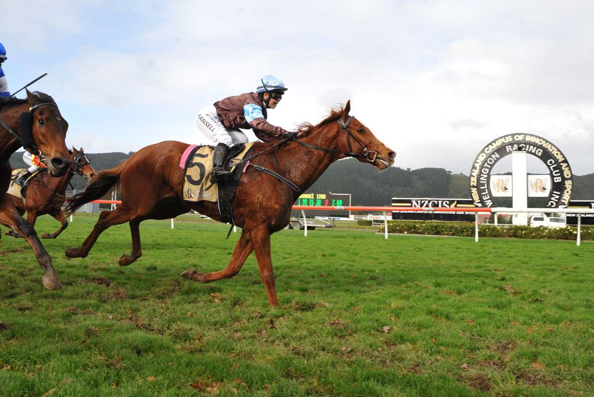 Nz Thoroughbred Racing | New Zealand Thoroughbred Racehorse Owners Federation
