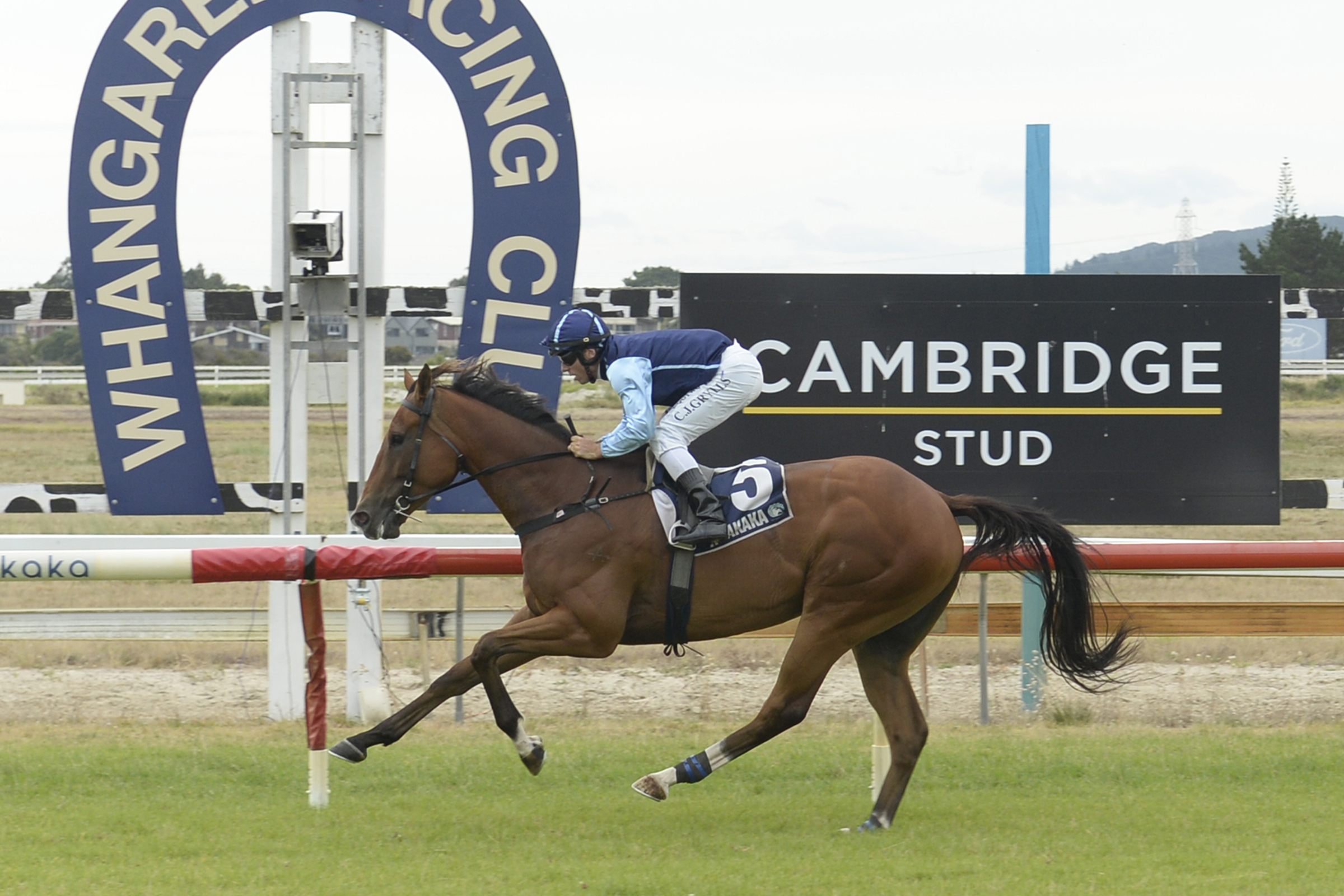 Nz Horse Racing Calendar Alysia Ronnica