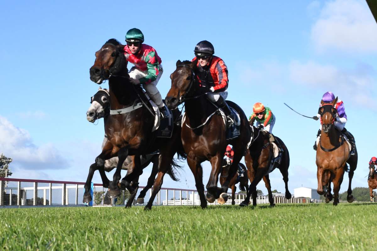Mauna Loa (left) on his way to winning at Waverley