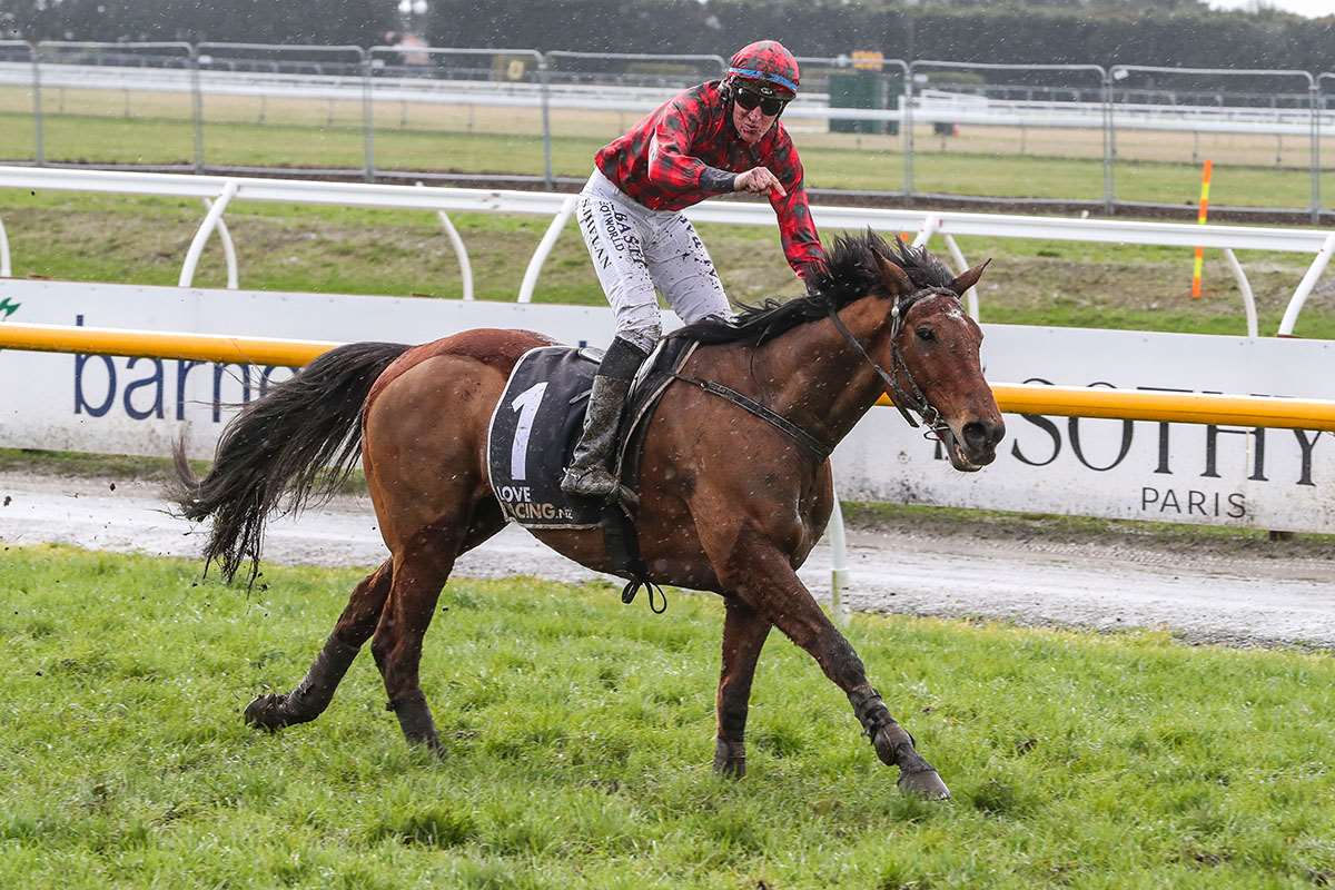 Sean Phelan is loving the winning moment with Tallyho Twinkleho!