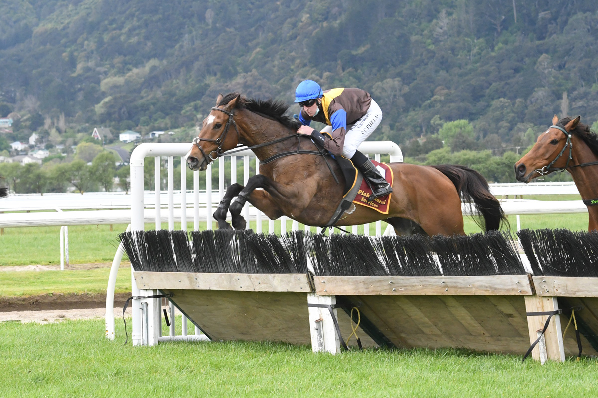 The Cossack on his way to winning the Great Northern Hurdles at Te Aroha on 3rd October 2021