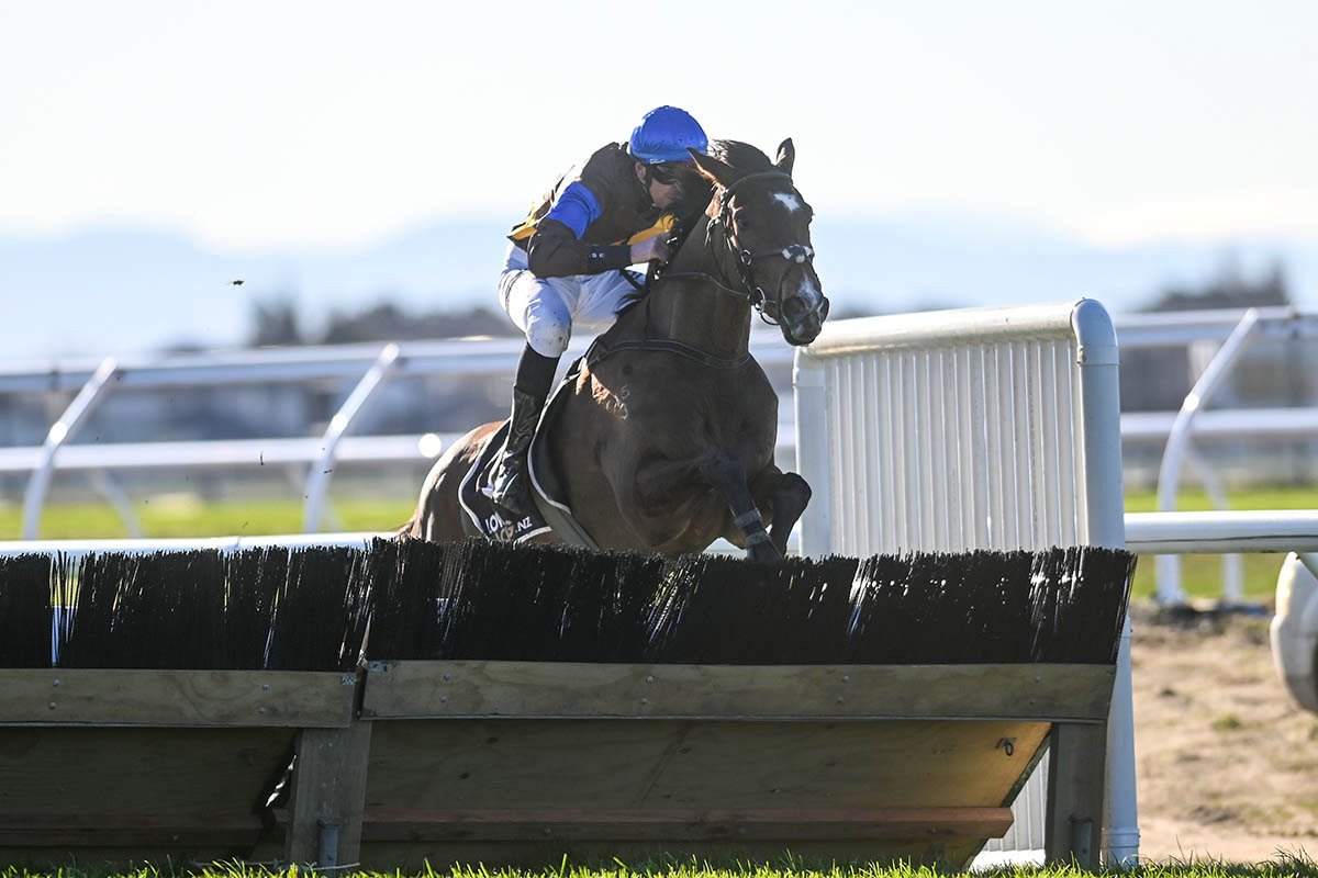 The Cossack on his way to winning the 131st Grand National Hurdles race on 11th August 2021 at Riccarton
