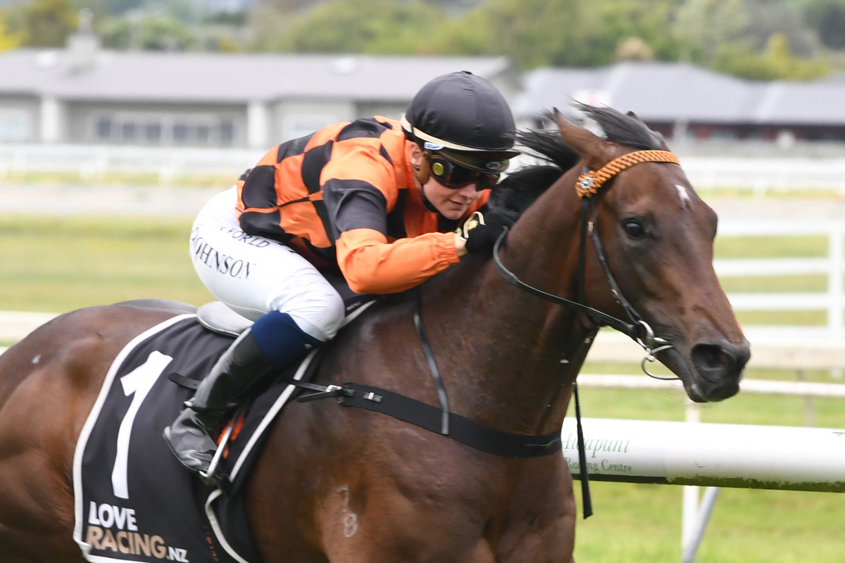Wakari winning at Awapuni November 2020