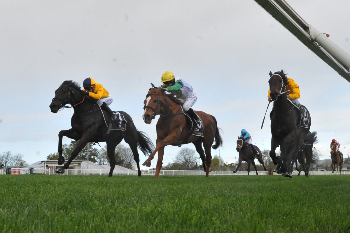 Communique (left in yellow) in winning form at Hastings, 18th September 2021