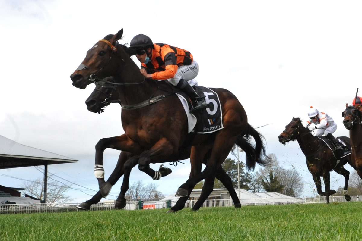 Wakari - winning at Hastings 18th September 2021