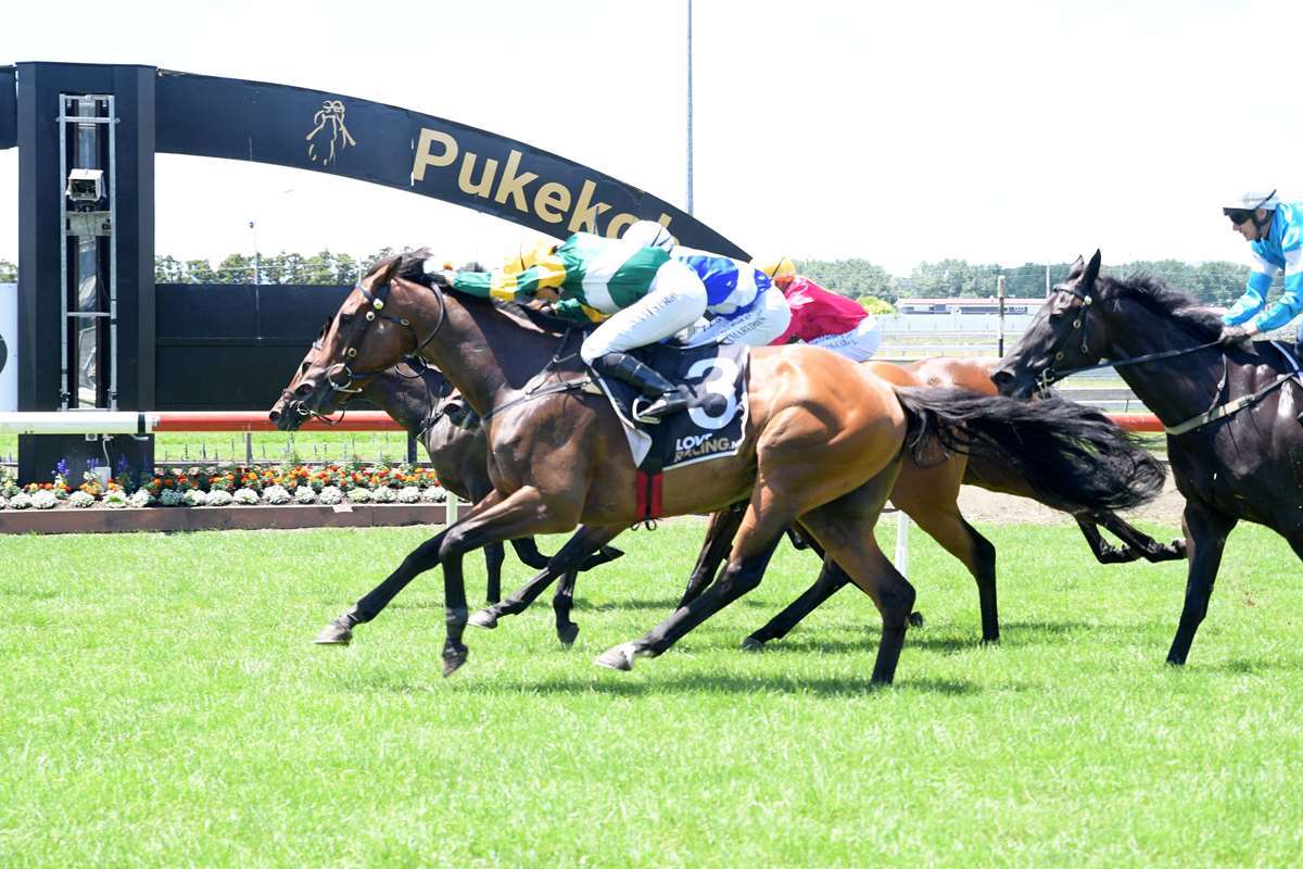 Star of Wonder (No. 3) gets up in the next stride!