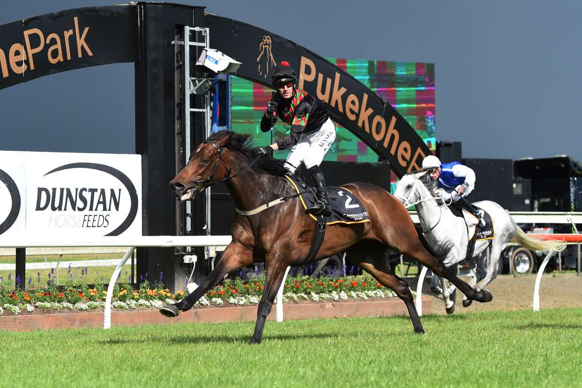 Boxing Day win at Pukekohe Park - Zabeel Classic