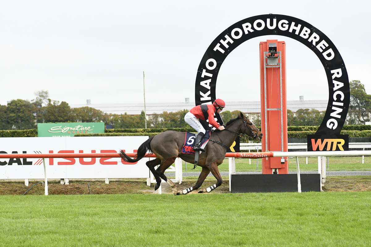 Dictation wins at Te Rapa 14 June 2025