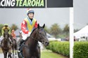 2230141 - HORRIE - TE AROHA 3-1-2026 RACE IMAGES PHOTO KENTON WRIGHT 0D1A7538.jpg