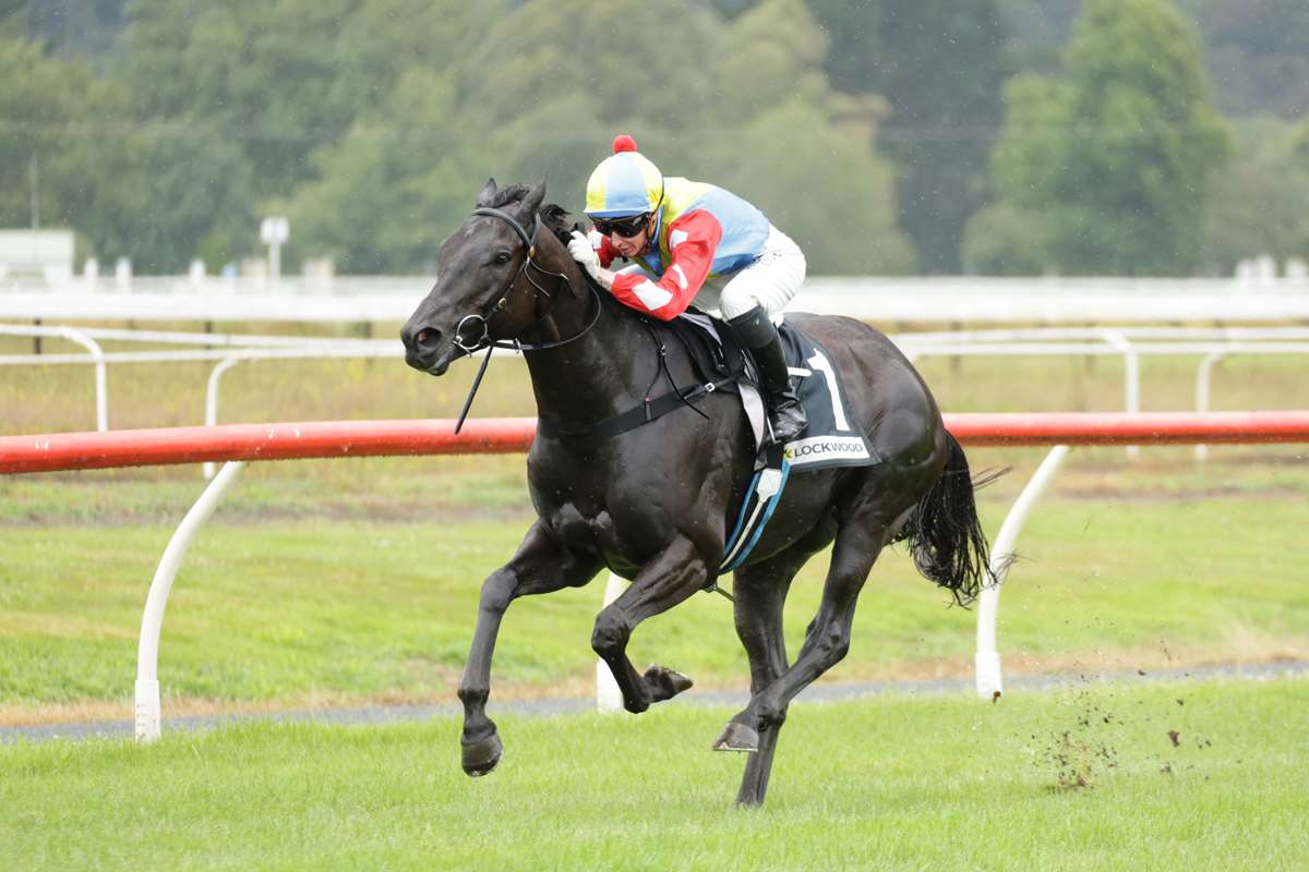 Horrie wins at Te Aroha on 3 January 2026