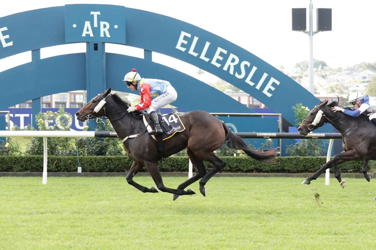Wee Nessy, daughter of good mare Contessa Vanessa, wins at Ellerslie on 27 April 2026