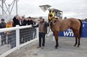 2342133 - SUBTLE IMAGE - WAIKATO TR 7-8-2026 PHOTO KENTON WRIGHT 0D1A7782.jpg